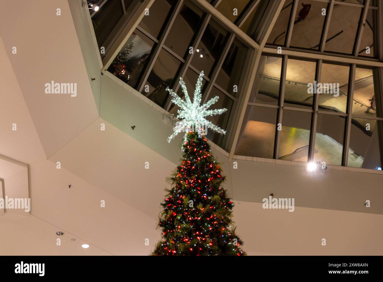 Indoor Christmas tree towering with bright red ornaments and a glowing star topper. Taken in Toronto, Canada. - Stock Image