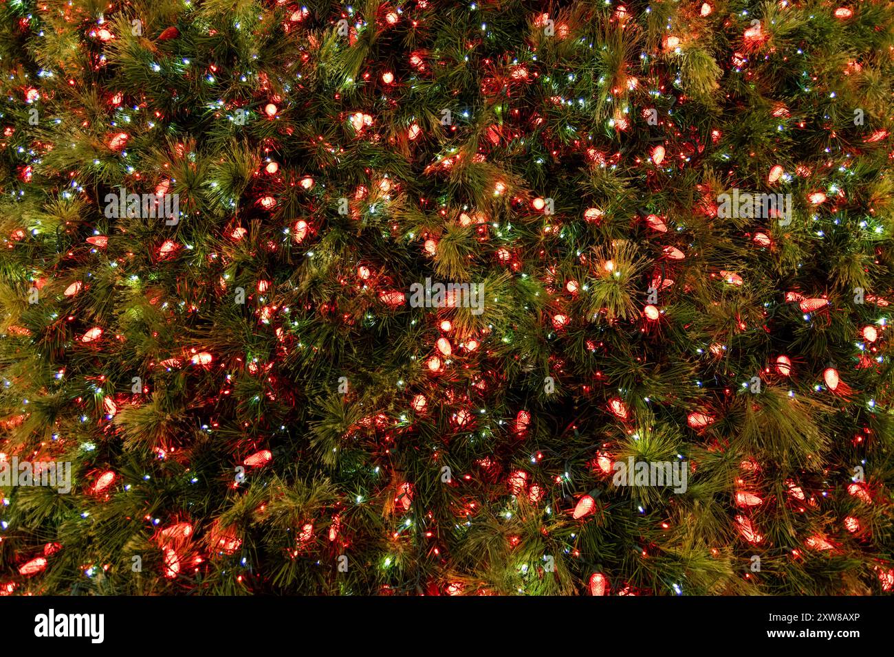 Vibrant close-up of a decorated Christmas tree with twinkling lights and red ornaments. Taken in Toronto, Canada. - Stock Image