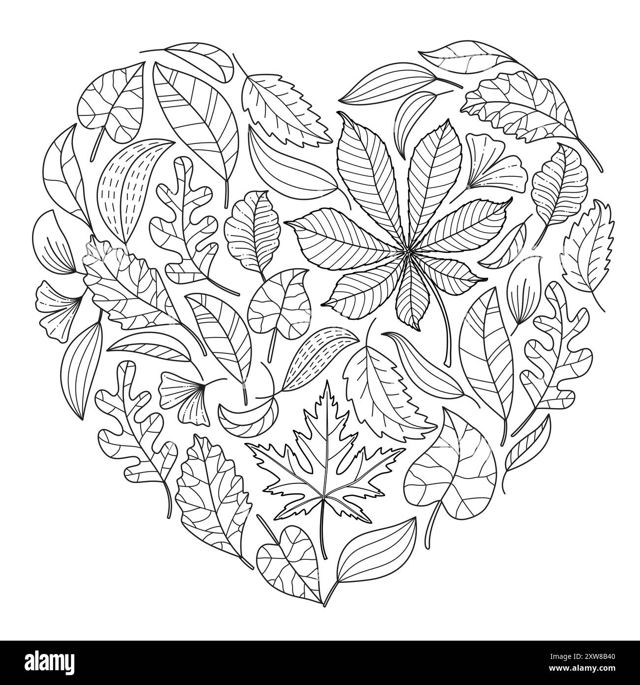 Autumn falling leaves. chestnut, rowan, aspen, oak, maple, doodle style. Hand drawn black and white isolated. Autumn leaves coloring page art therapy for children and adults. Stock Vector