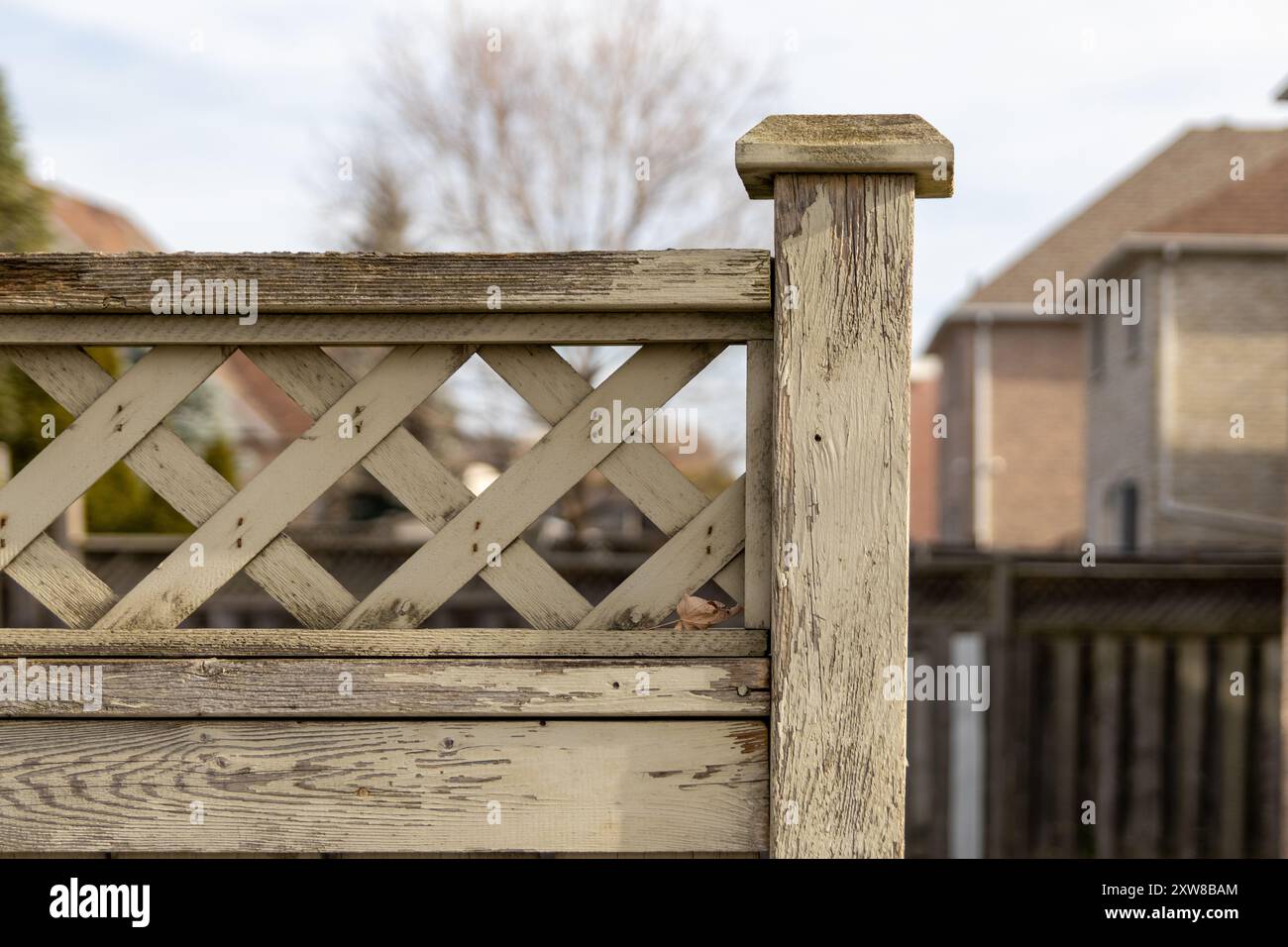 Sunlit wooden fence with lattice design - weathered texture and grain visible - suburban backdrop with houses. Taken in Toronto, Canada. - Stock Image