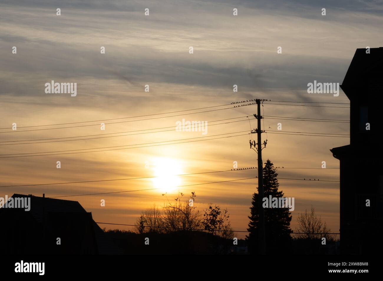 Sunset silhouette with power lines and birds perched against a warm, cloudy sky - residential buildings flank the scene. Taken in Toronto, Canada. - Stock Image