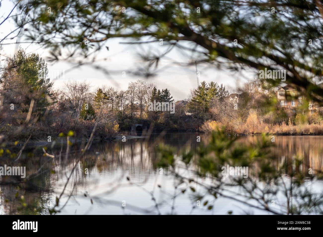 Sunset-lit tranquil lake with reflections of surrounding foliage and buildings, framed by foreground branches. Taken in Toronto, Canada. - Stock Image