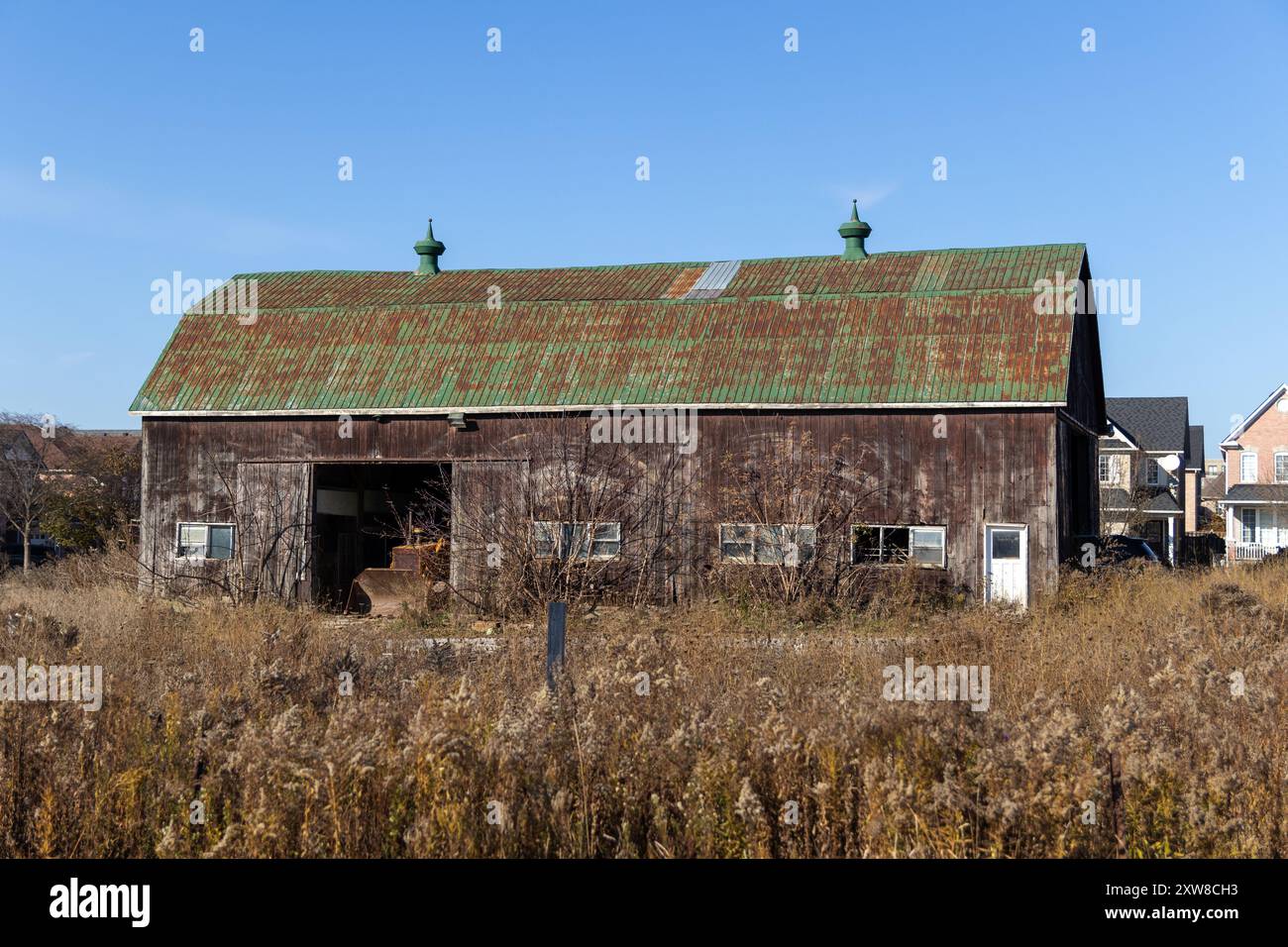 Rustic brown barn with weathered green roof stands amid tall, dry grass under a clear blue sky - modern houses in the background. Taken in Toronto, Ca - Stock Image