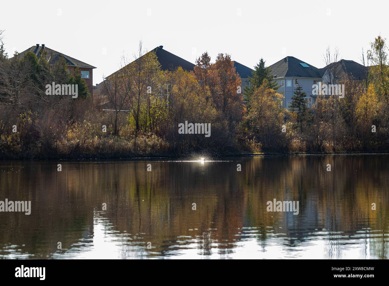 Autumnal suburban landscape reflected in calm lake waters, flanked by trees with changing leaves and modern houses. Taken in Toronto, Canada. - Stock Image