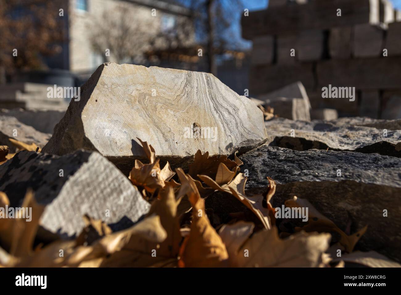Sunlit limestone rock nestled among dry autumn leaves - blurred urban background. Taken in Toronto, Canada. - Stock Image