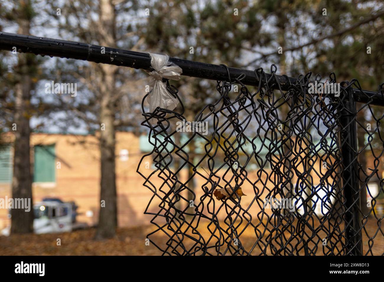 Sunlight filters through a chain-link fence - crisp autumn leaf caught mid-air. Taken in Toronto, Canada. - Stock Image