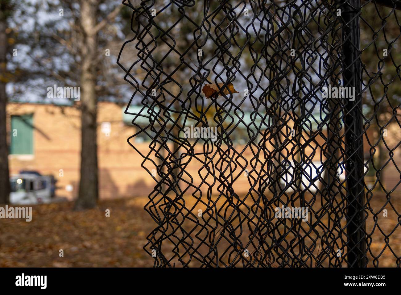 Sunlight filters through a chain-link fence - crisp autumn leaf caught mid-air. Taken in Toronto, Canada. - Stock Image