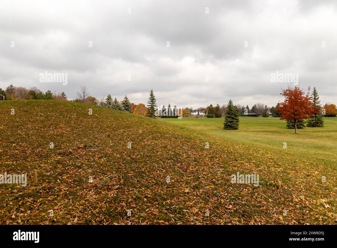 Autumn landscape with scattered fallen leaves, overcast sky - rolling hills. Taken in Toronto, Canada. - Stock Image