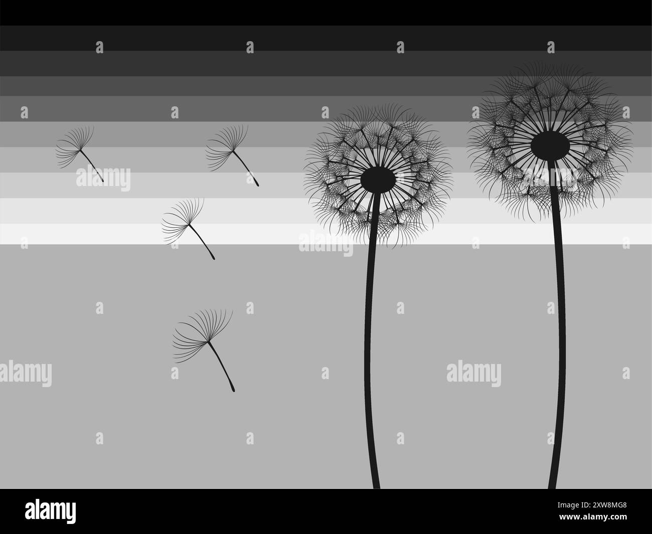 Dandelion seed head silhouette Black and White Stock Photos & Images ...