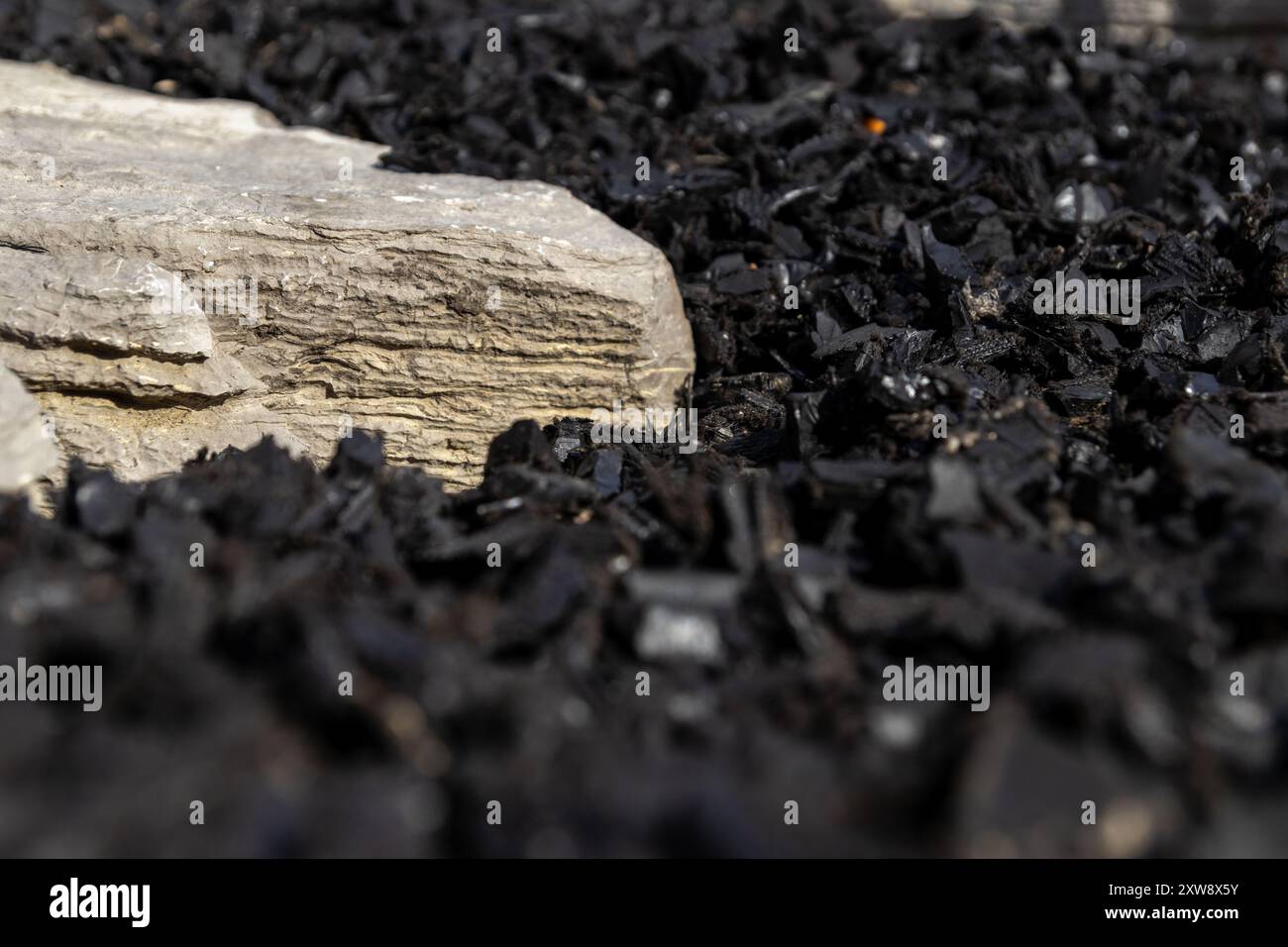 Close-up of a pale sedimentary rock juxtaposed against dark, crystalline coal fragments. Taken in Toronto, Canada. - Stock Image