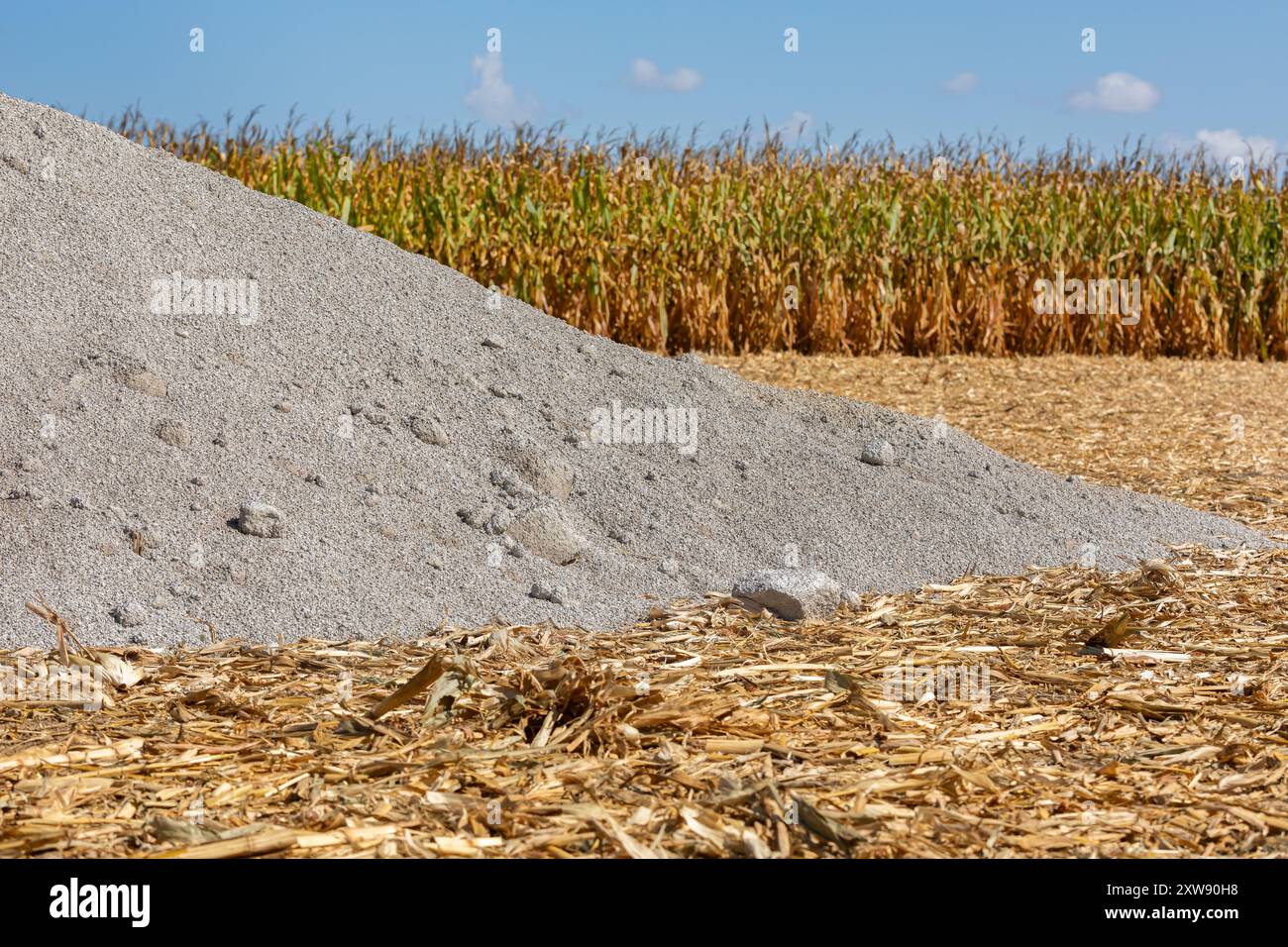 Lime fertilizer in cornfield after harvest. Agriculture Farm fertilizer price increase, shortage, and cost concept. Stock Photo