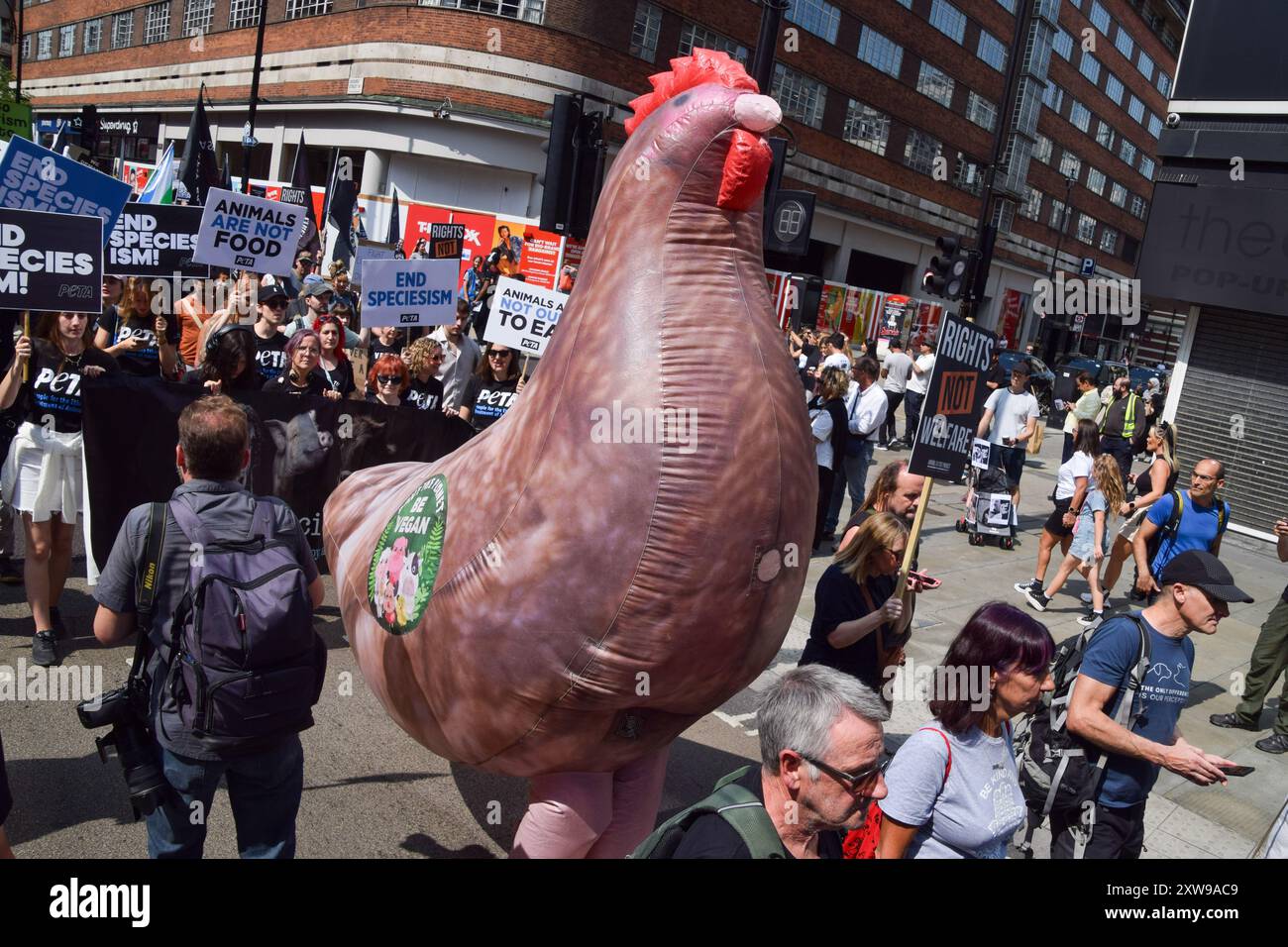 Animal rights activist chicken uk hi-res stock photography and images ...