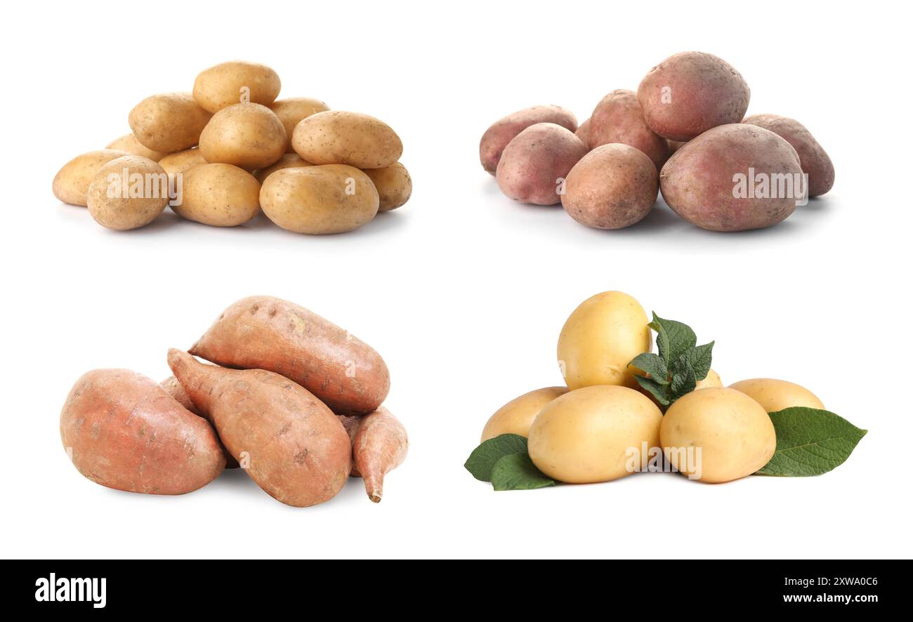 Different types of potatoes isolated on white, collection Stock Photo ...