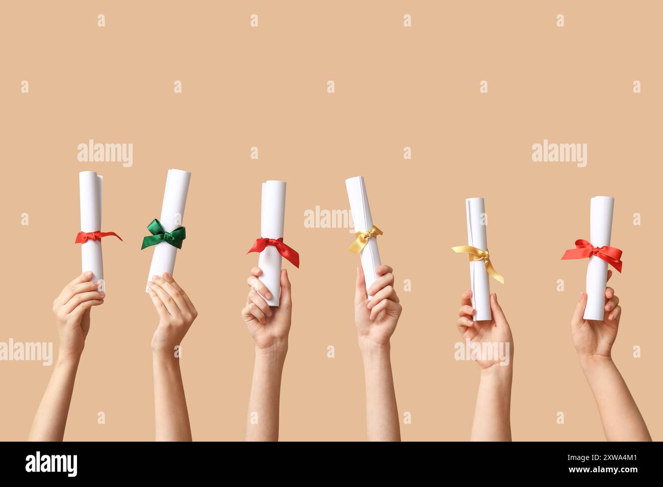 Female hands with diplomas on beige background Stock Photo - Alamy