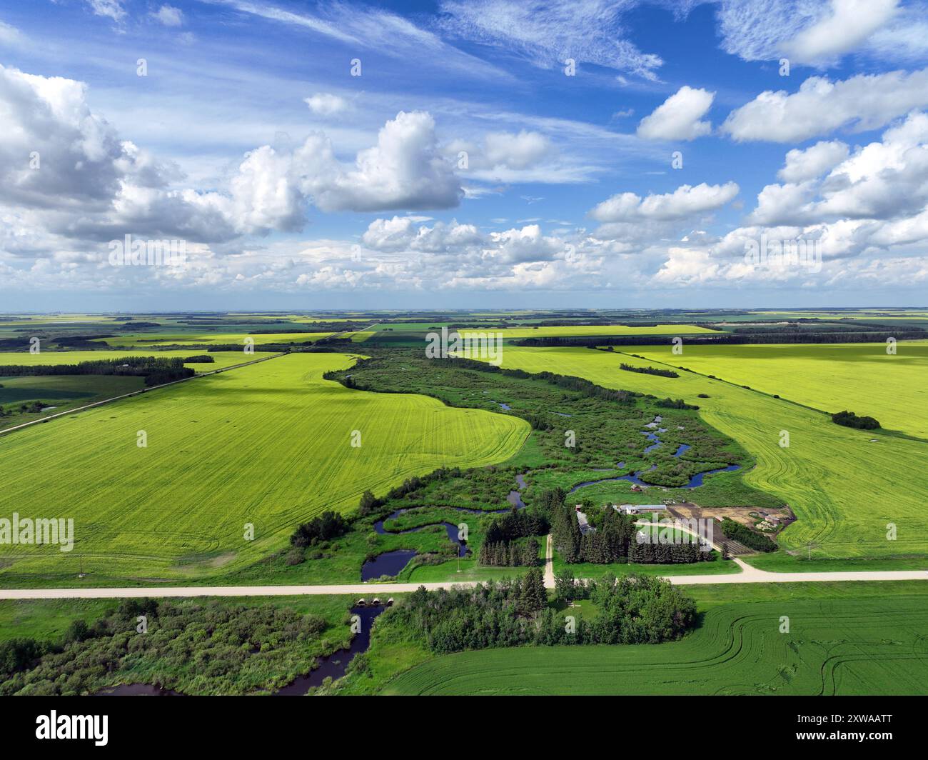 Fields of canola, wheat and barley intersected by gravel roads in rural Saskatchewan Stock Photo