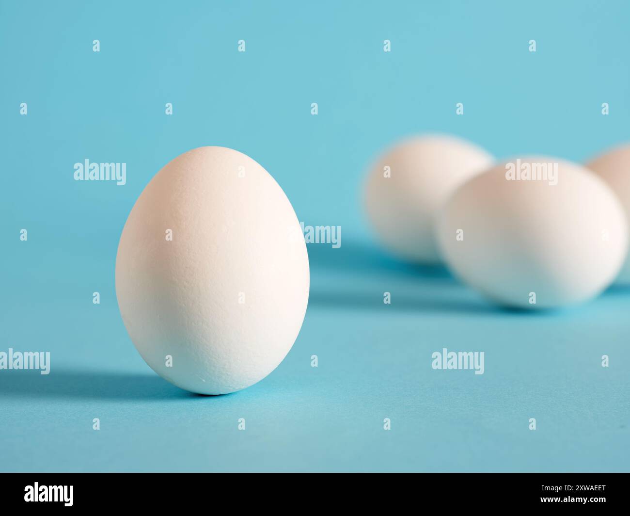 White chicken egg on blue background Stock Photo - Alamy