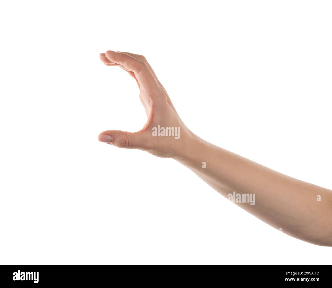 Hand Rotation Holding Something Young woman hand claw to hold something isolated on white background ...