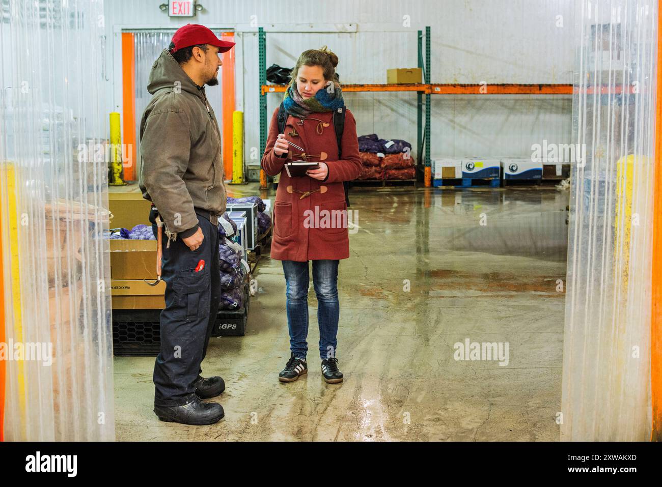 Young, female journalist conducting an interview Young, brunette woman ...