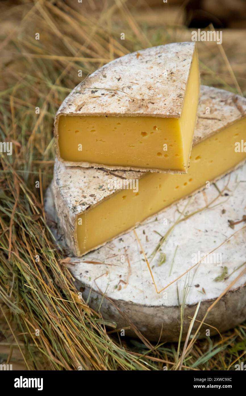 Cheesemonger Jean-Marie Beaudoin. Production and sale of organic farmhouse cheese in Villers-sur-Auchy (northern France). Raw milk cheese “Tomme au fo Stock Photo