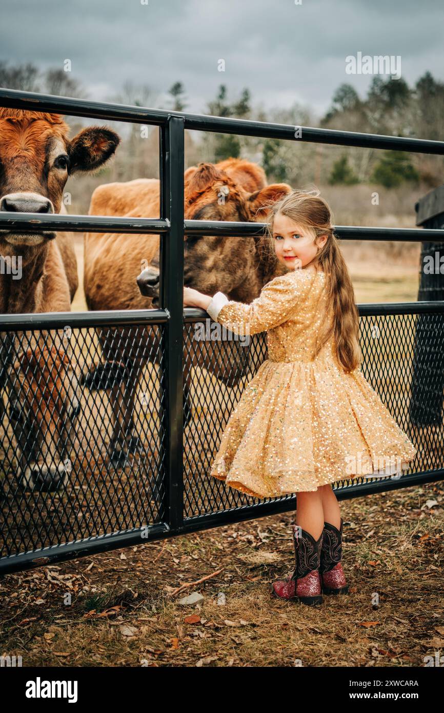 Girl in sparkly dress interacts with cows through a fence Stock Photo ...