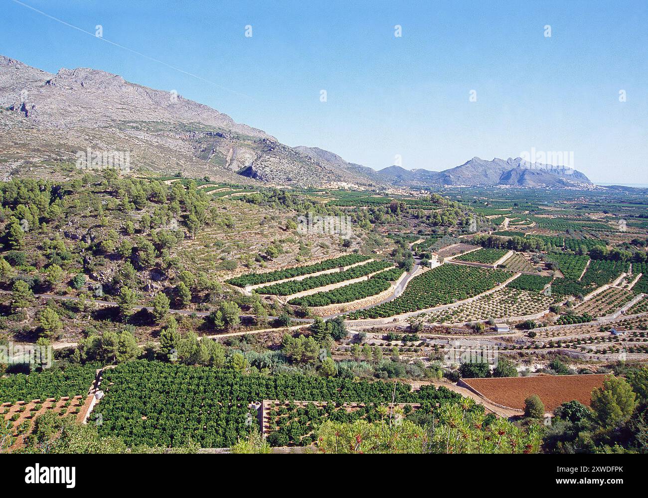 Variedad de cultivos hi-res stock photography and images - Alamy
