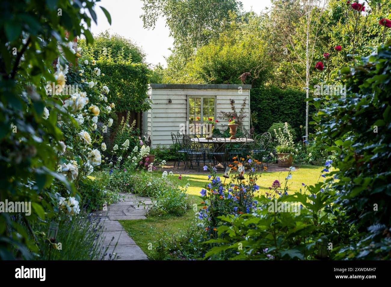 Garden shed and climbing roses in sunlit back garden of Wimbledon home, south-west London, England, UK. Stock Photo