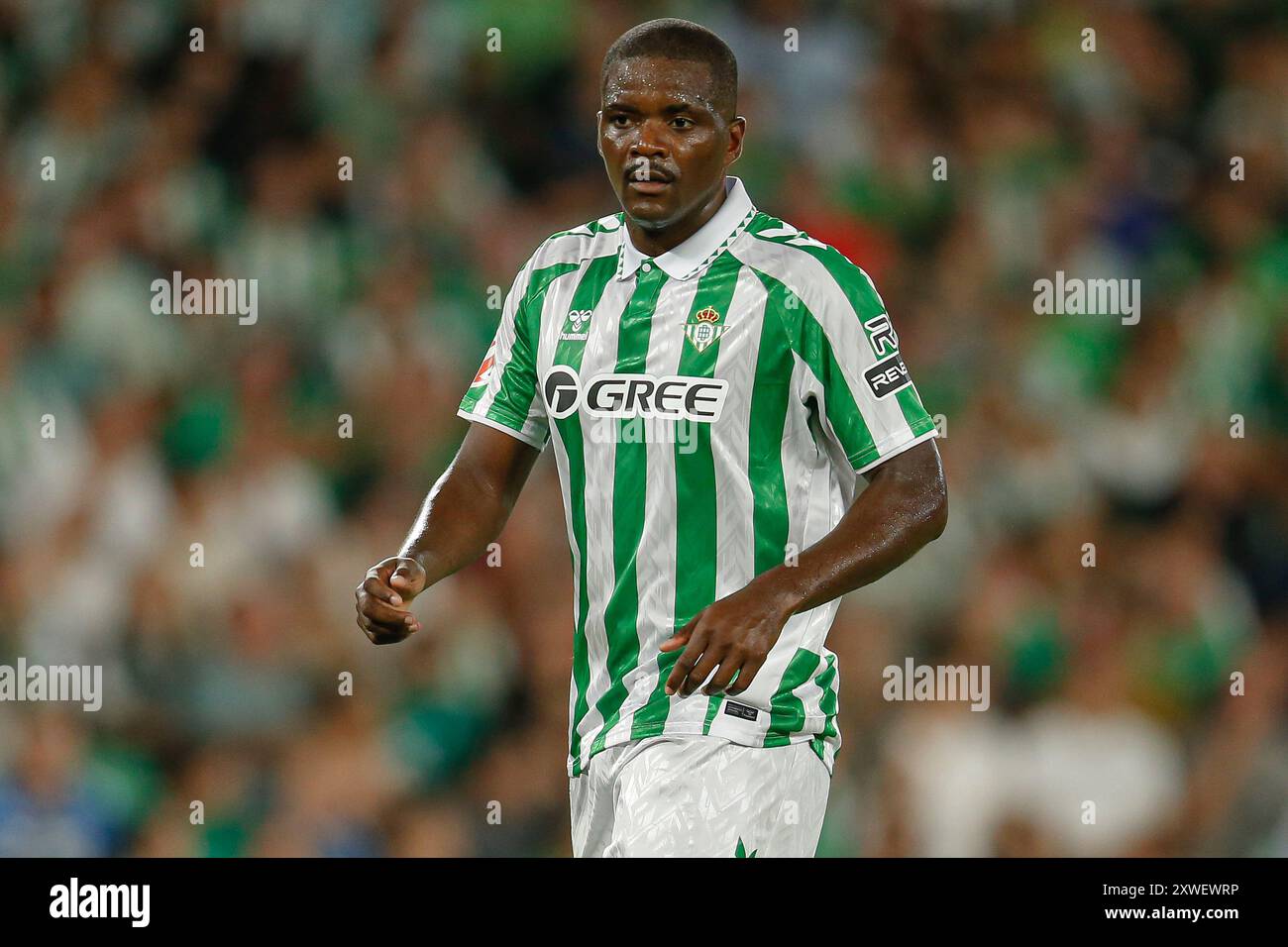 William Carvalho of Real Betis during the La Liga EA Sports match between Real Betis and Girona FC played at Benito Villamarin Stadium on August 15 2024 in Sevilla Spain. Photo by