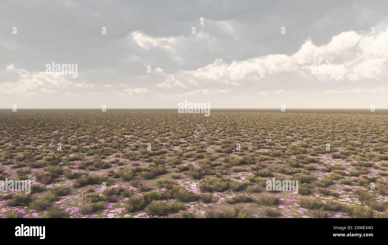 Barren landscape Stock Photo