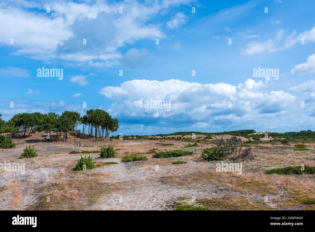 Dnische Insel Kattegat