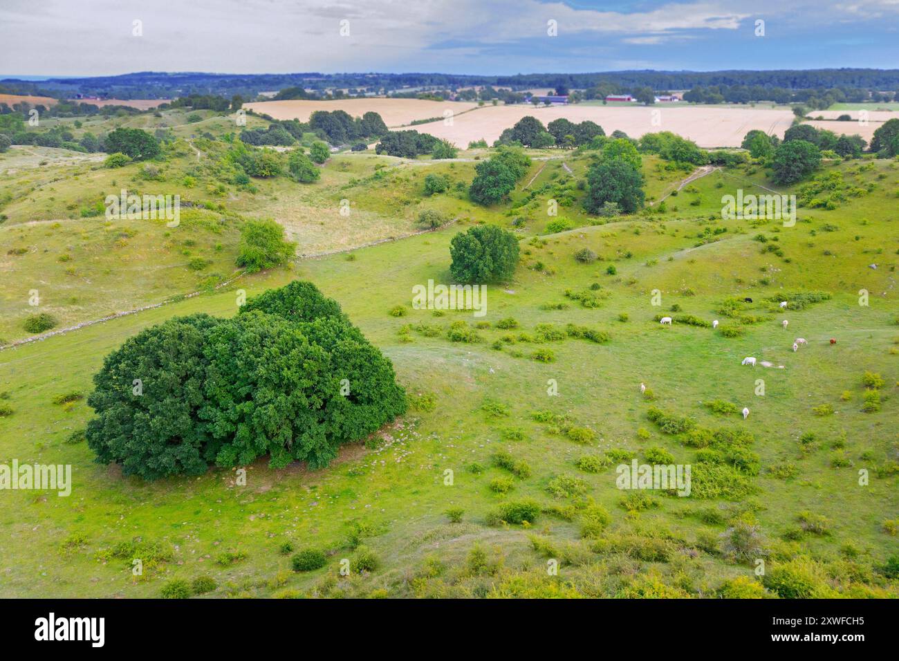 Aerial view over the hills of Brösarps backar / Brösarp's slopes in summer, Skåne län, Skane / Scania, Sweden Stock Photo
