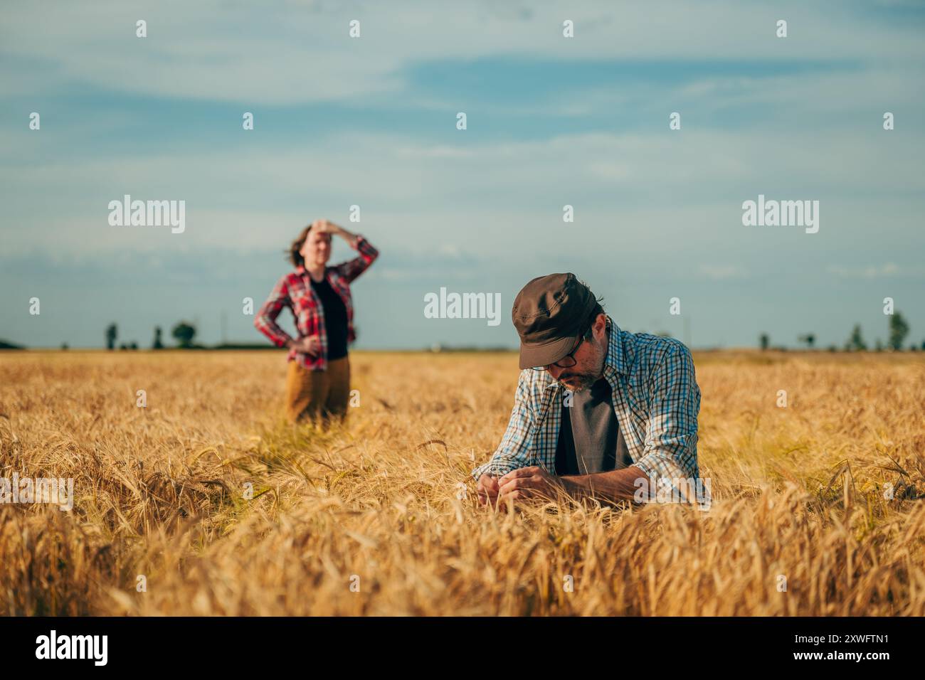 Agricultural inspection hi-res stock photography and images - Alamy