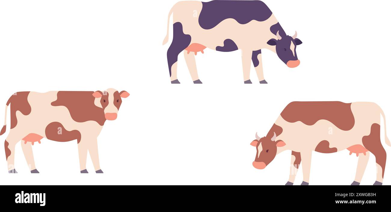 Calf meat Stock Vector Images - Alamy