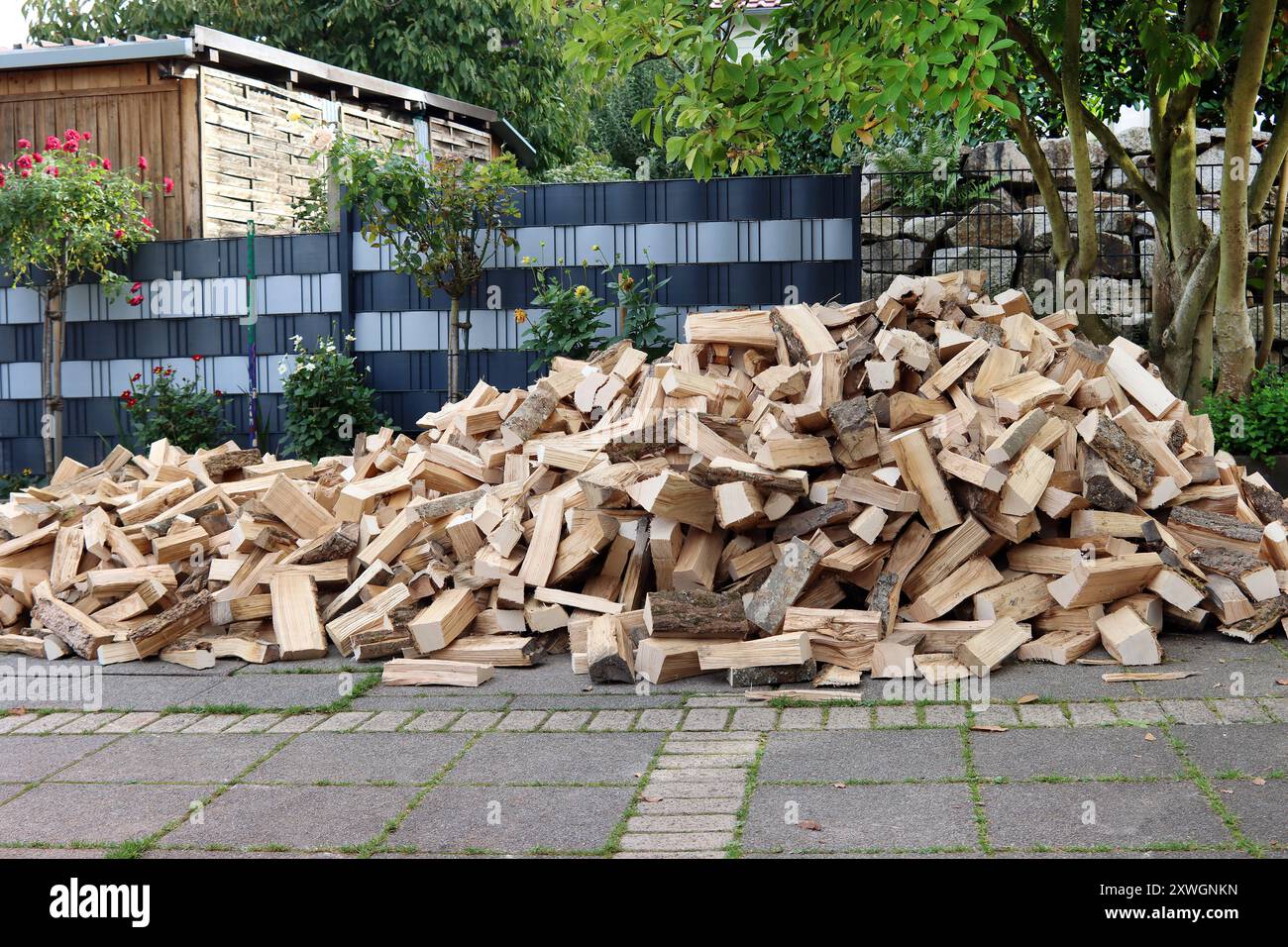 firewood for the next winter, Germany Stock Photo
