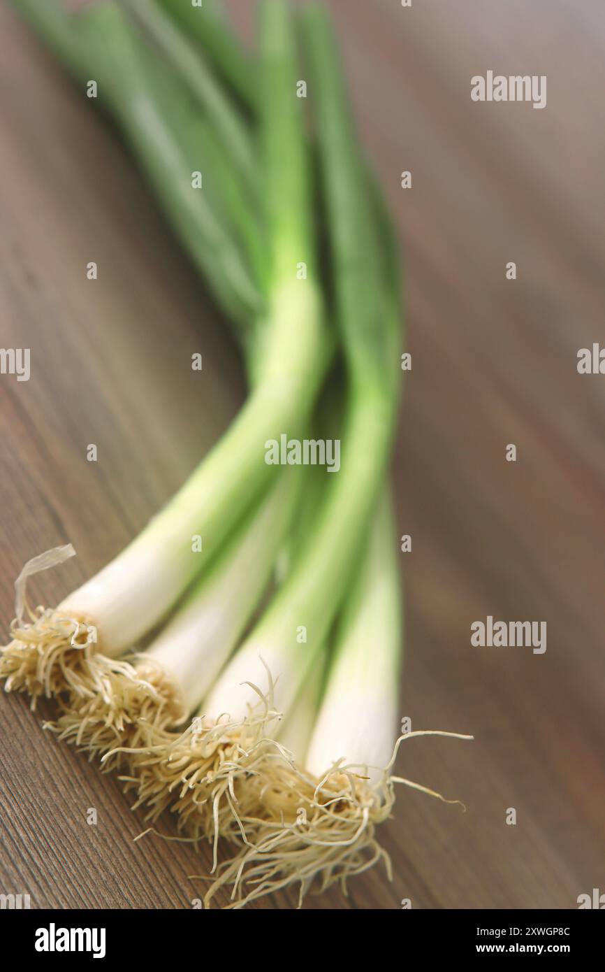 welsh onion (Allium fistulosum), welsh onion on a desk Stock Photo