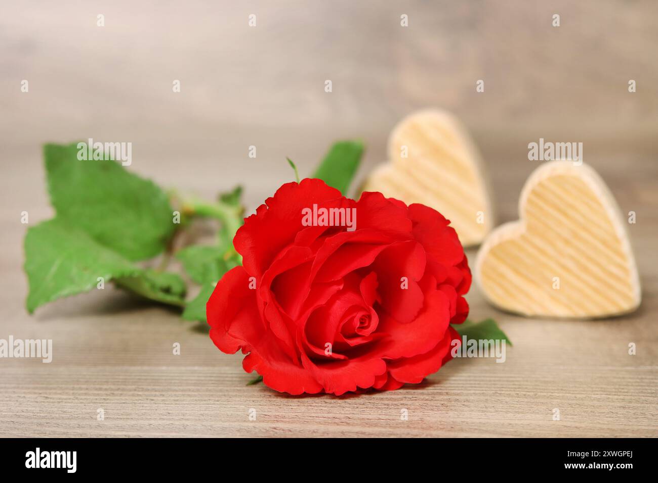 red rose with two wooden hearts Stock Photo - Alamy