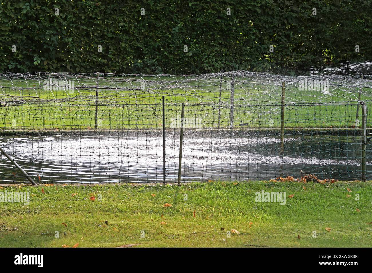 Draht teich hires stock photography and images Alamy
