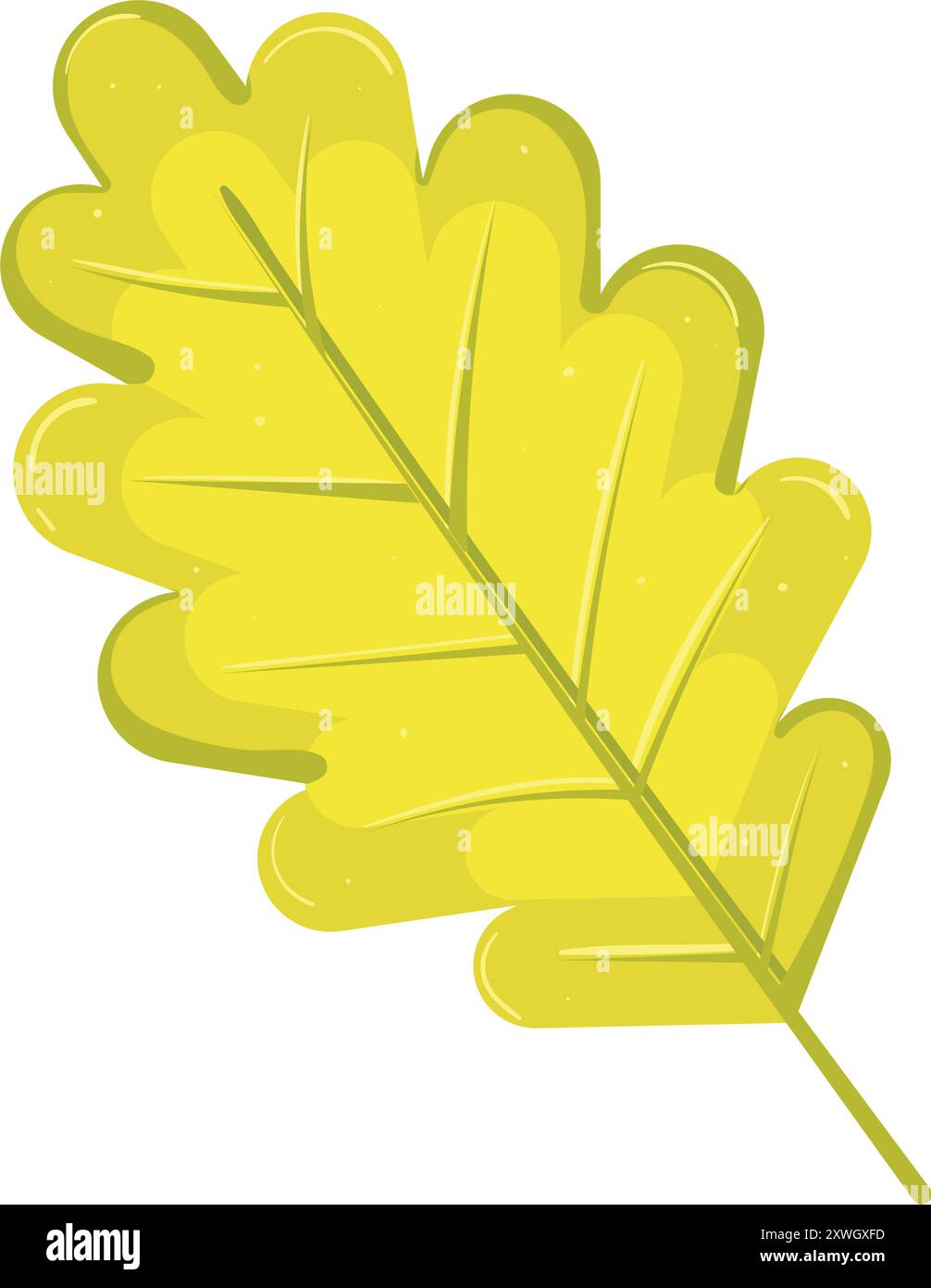 Oak leaf veins vector hi-res stock photography and images - Alamy