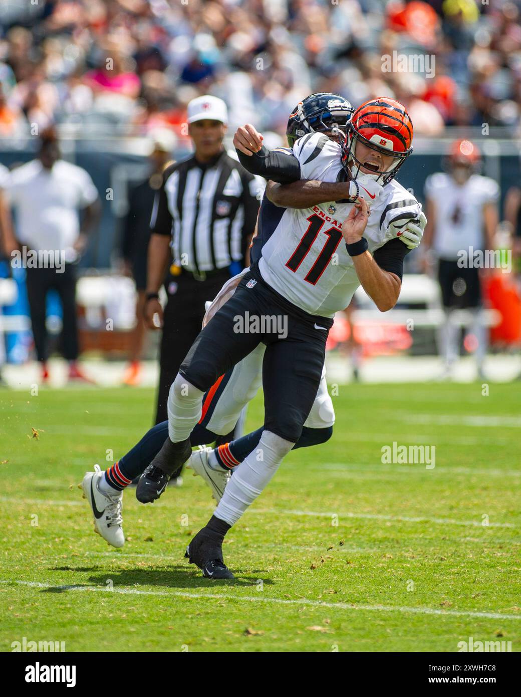 August 17, 2024: Cincinnati Bengals quarterback #11 Logan Woodside is sacked by Chicago Bears #59 Jamree Kromah during the game in Chicago, IL. Mike Wulf/CSM Stock Photo