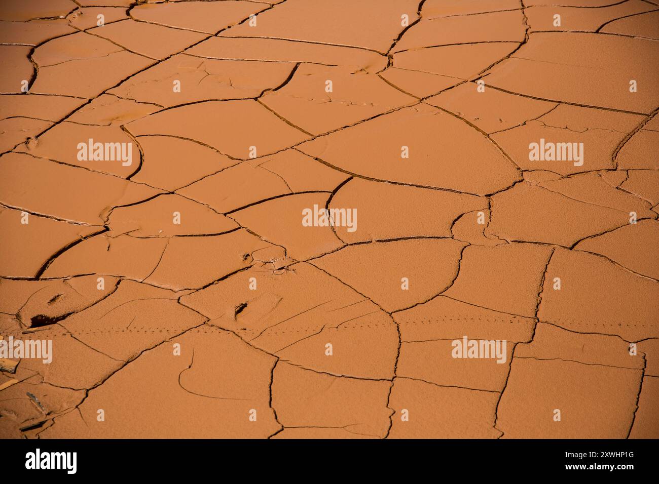 Contaminated terrain from Nickel extraction, Mining in Labengki, Sulawesi, Indonesia, Asia Stock Photo