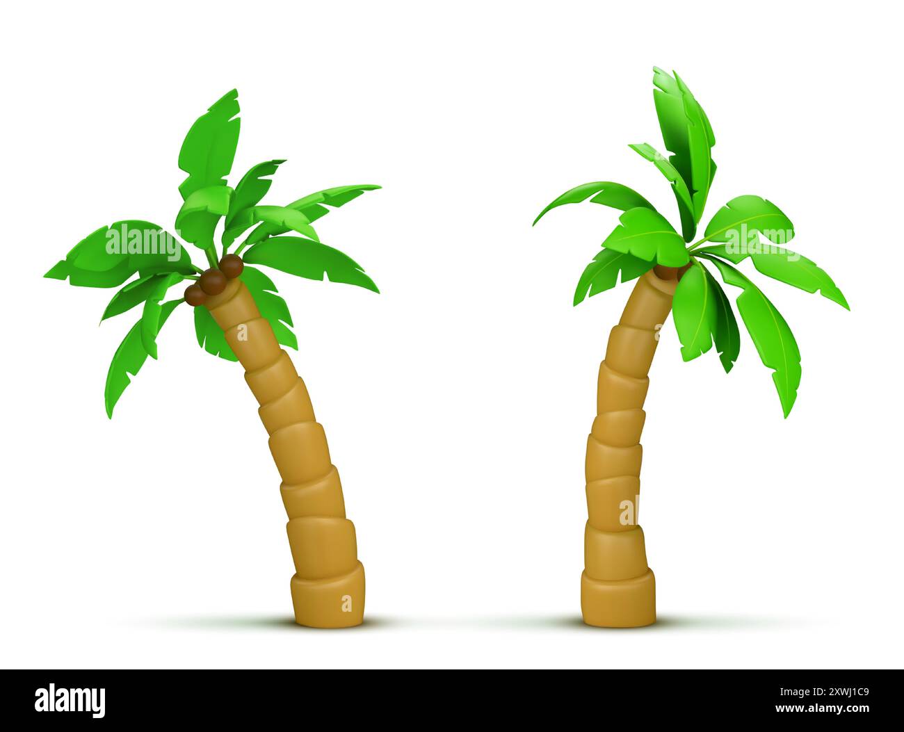 Palm tree with coconut. Realistic 3d vector illustration set of exotic tropical plant with green leaves. Jungle woods in different angles of view for summer sea and ocean beach vacation concept. Stock Vector