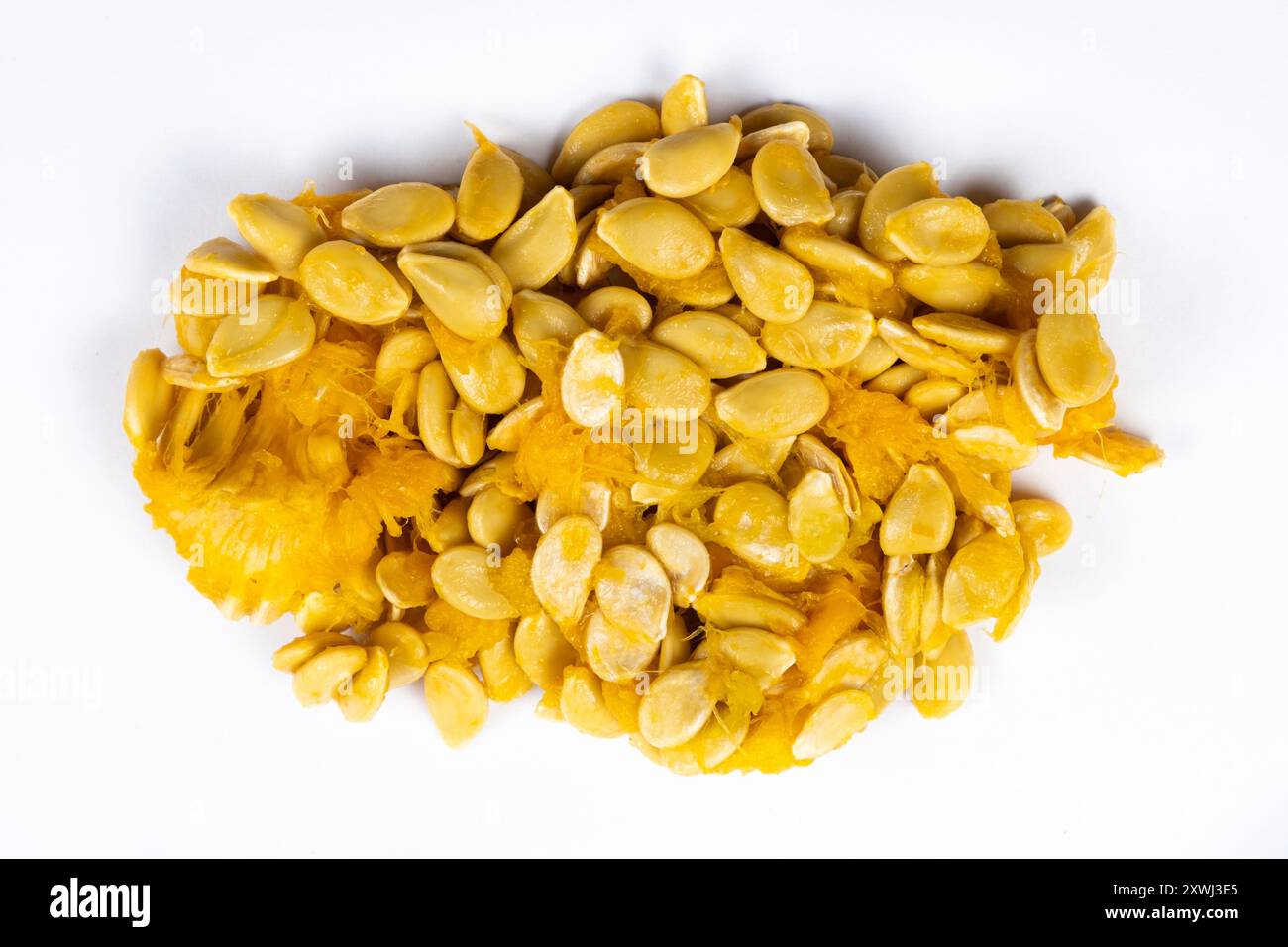 raw-seeds-from-fresh-hokkaido-pumpkin-on-a-white-background-stock-photo