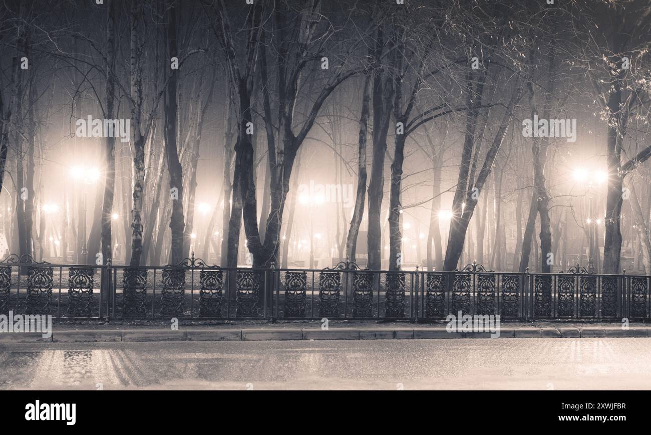 boulevard at foggy rainy night Stock Photo - Alamy