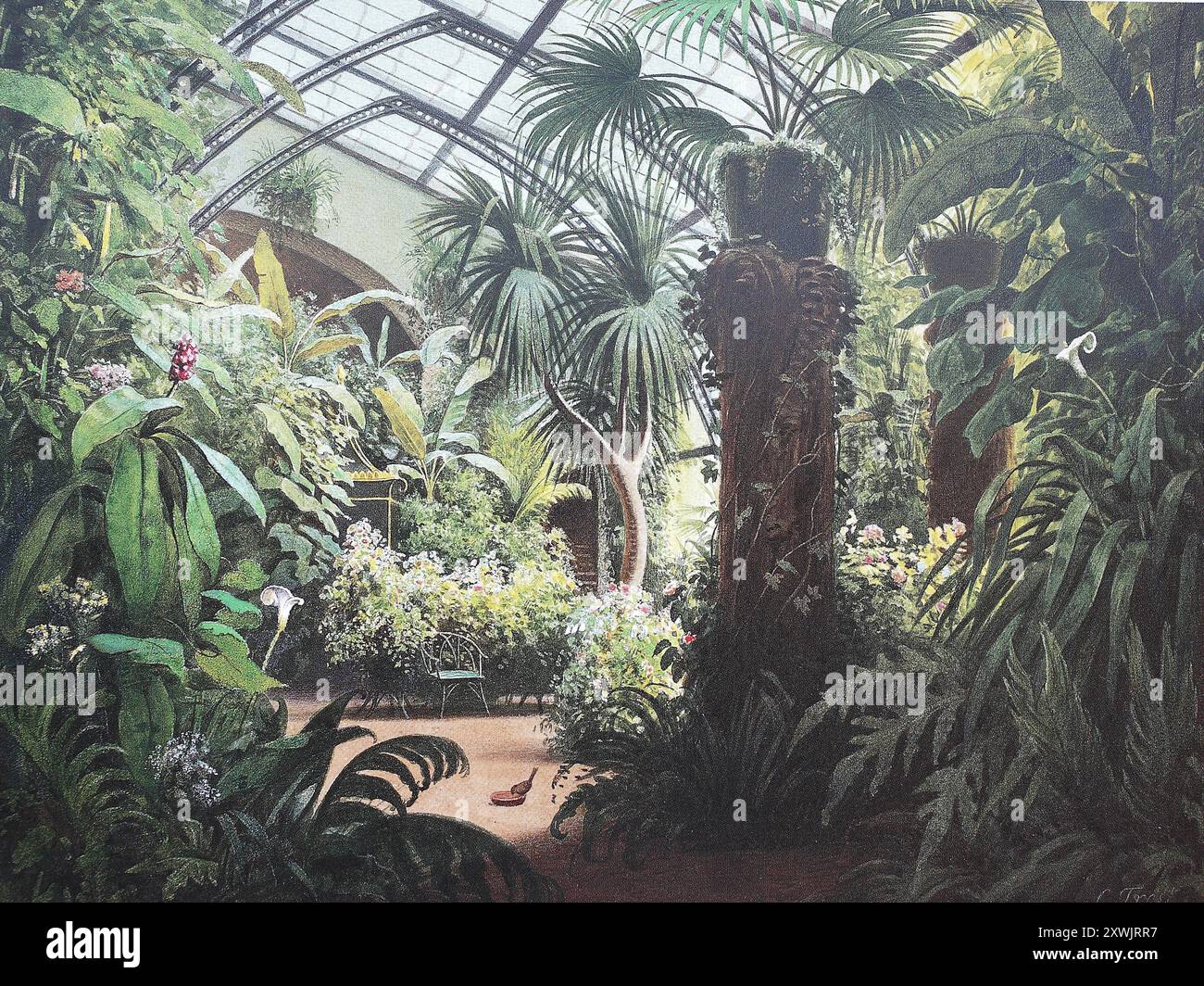 Historisch, digital restaurierte Reproduktion von einer Vorlage aus dem 19. Jahrhundert, Record date not stated, Wintergarten im Schloß Friedenstein, Stock Photo