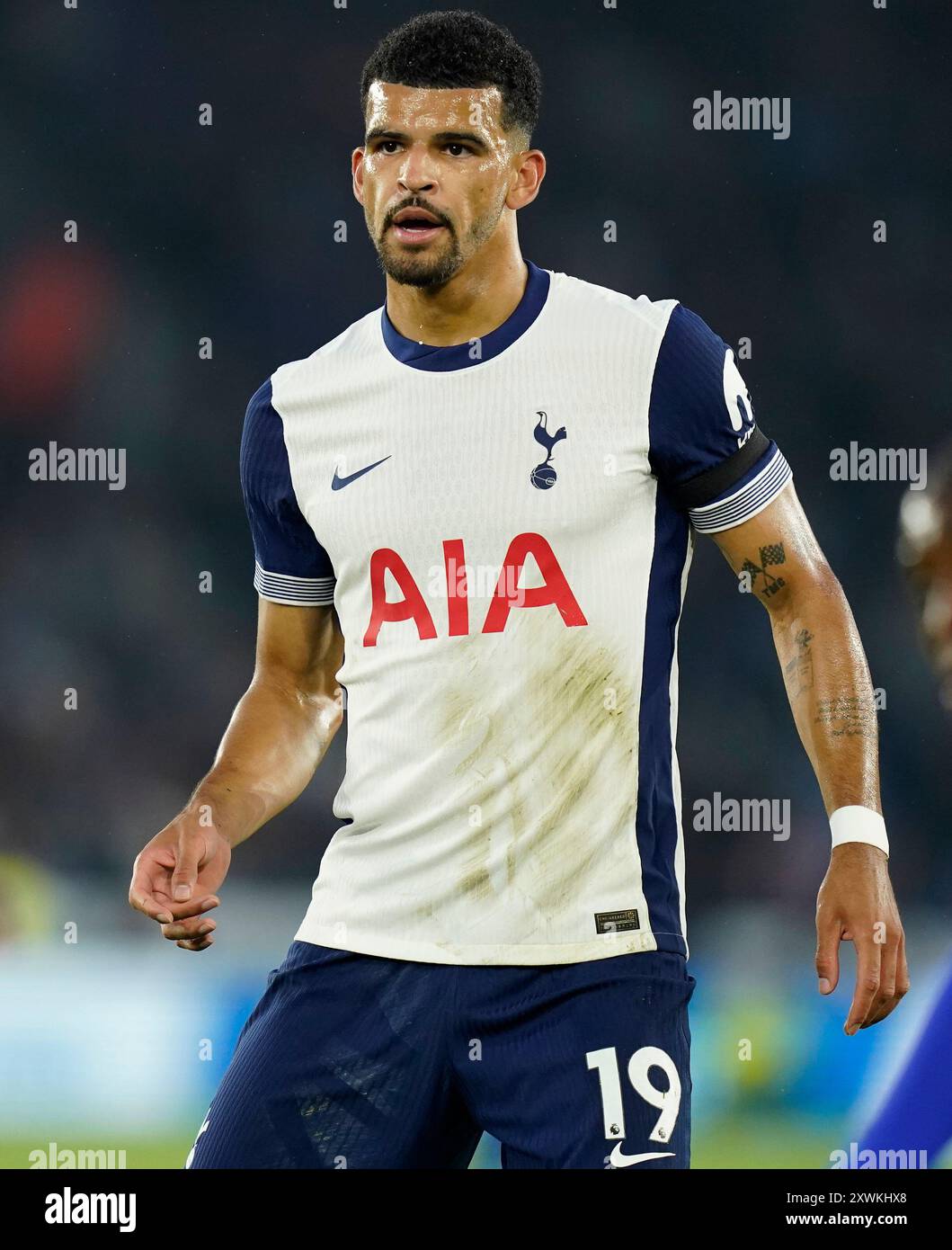 楽天市場】【スピード出荷】ナイキ 24-25 THFC トッテナムFC #19