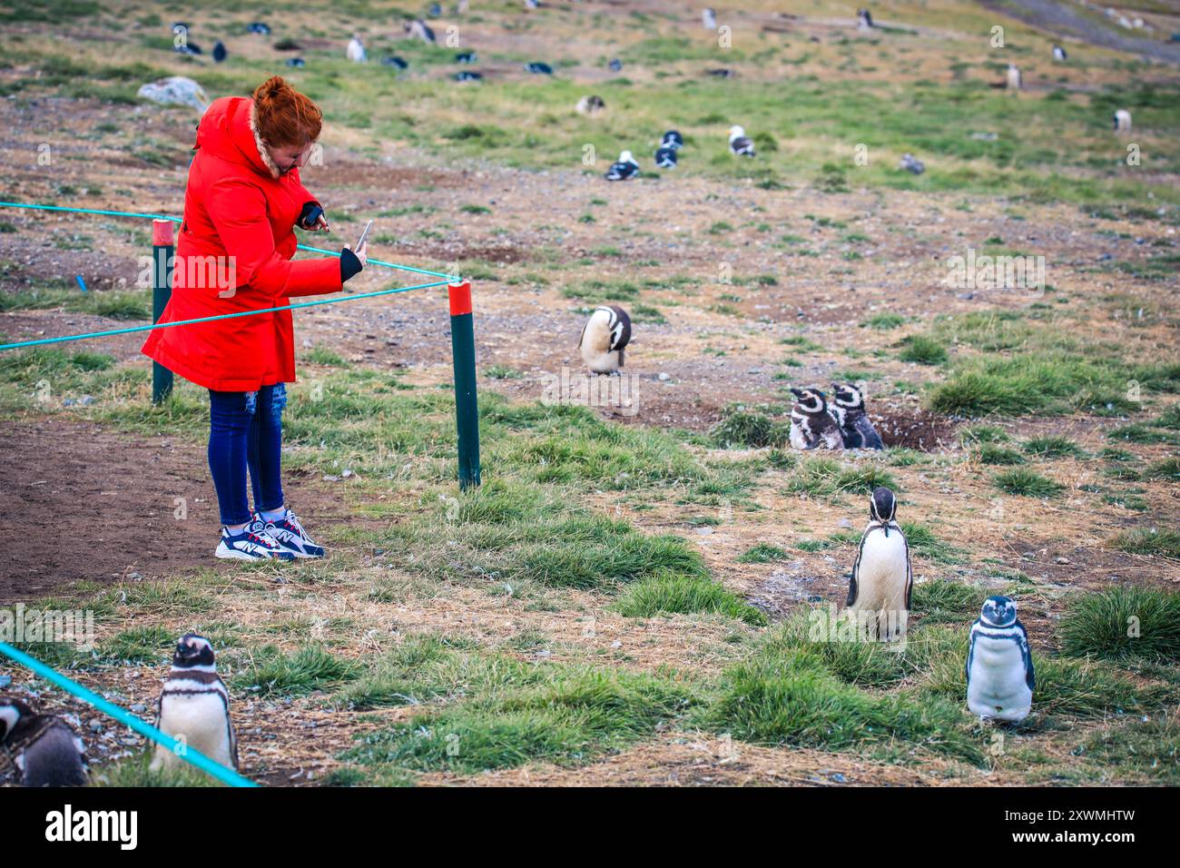 Woman Tourist in the Red Jacket on the Magdalena Island making the ...