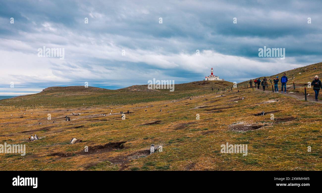 Woman Tourist in the Red Jacket on the Magdalena Island making the ...