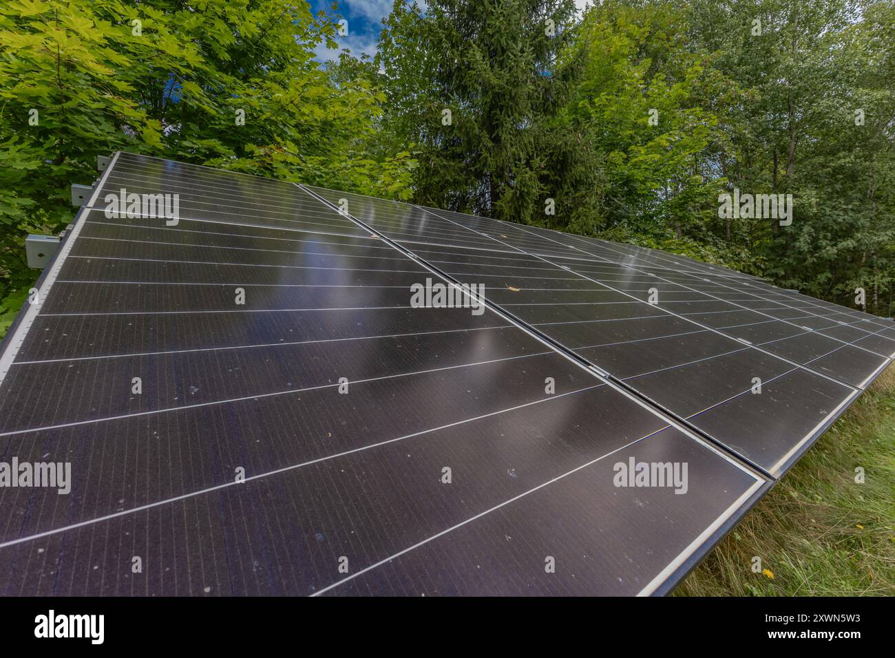 Photovoltaic panels installed on a green meadow, cheap electricity for the household Stock Photo