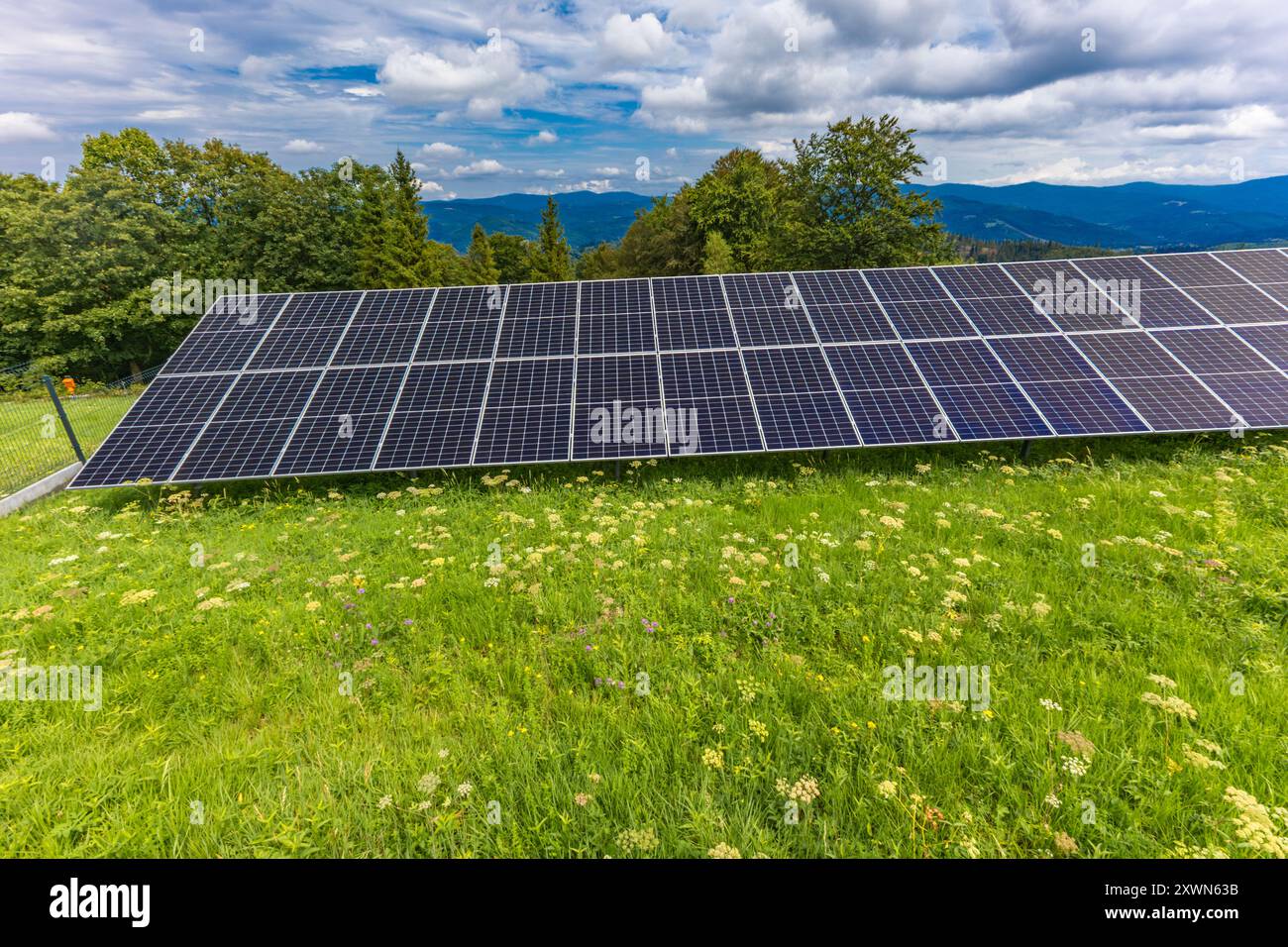 Photovoltaic panels installed on a green meadow, cheap electricity for the household Stock Photo
