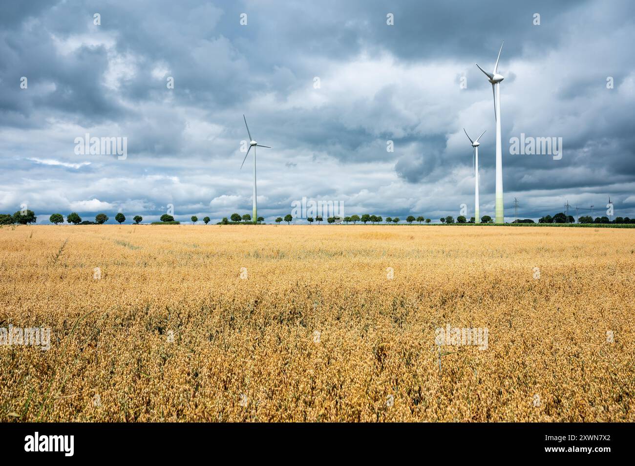 energy-grid-control-hub-hi-res-stock-photography-and-images-alamy