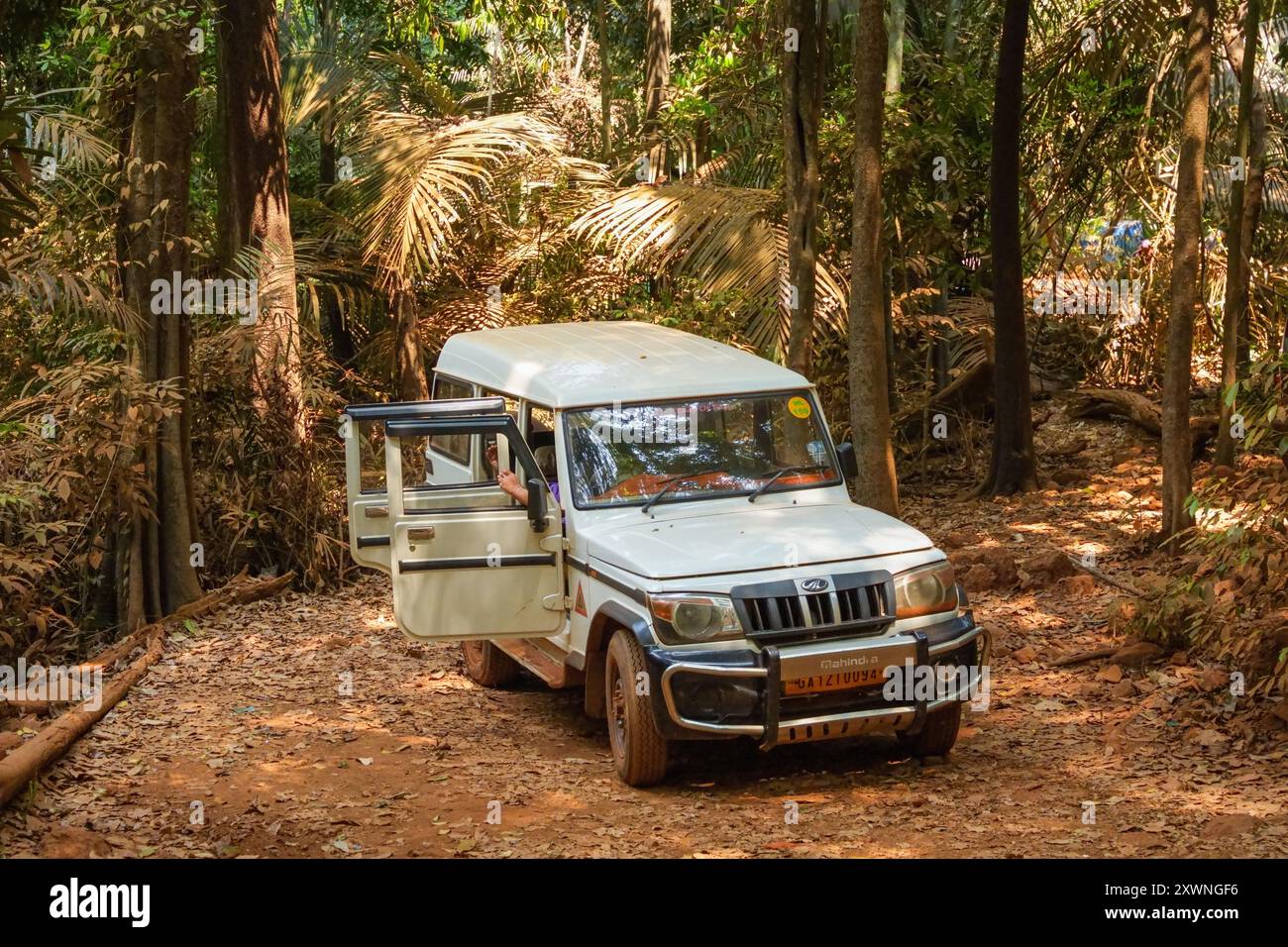 GOA, India - February 28, 2024: Mahindra jeep parked in the jungle. Excursion trip Stock Photo